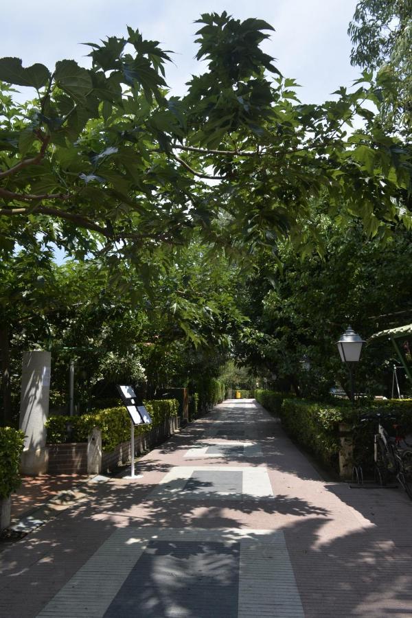 Hotel Riomar ซานต์ มาร์ติ เดมปูริเยส ภายนอก รูปภาพ